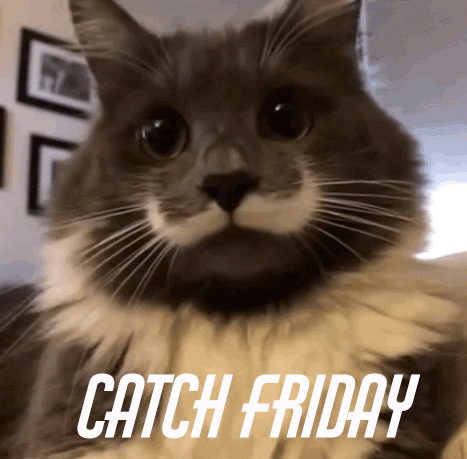Catch Friday