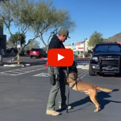 MCSO K9