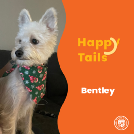 Bentley