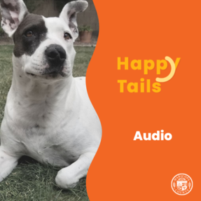 Audio Happy Tails