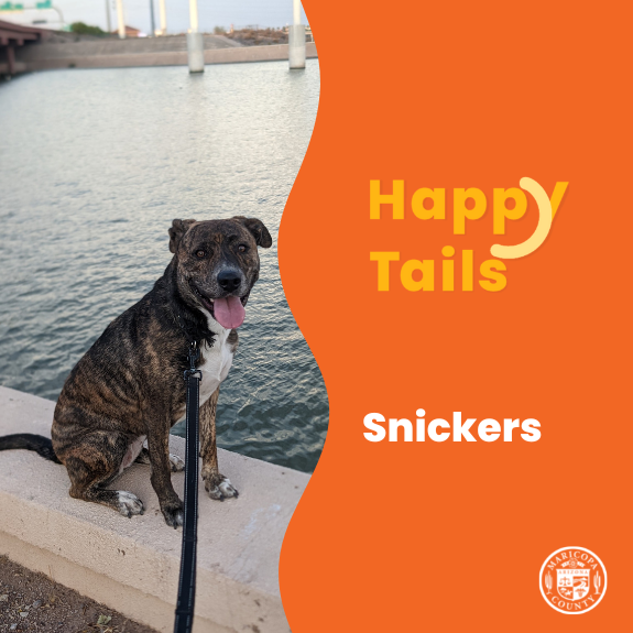 Maricopa County News Week of March 13th, 2023