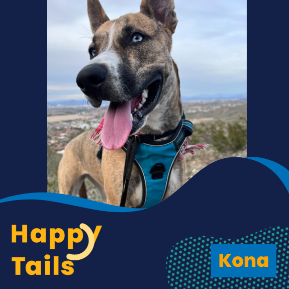 Kona