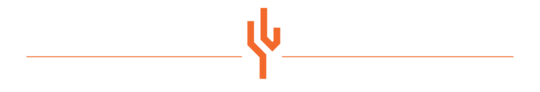 cactus icon