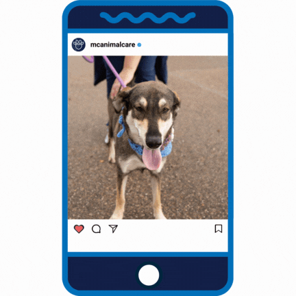 Puppy Love _Sweetheart