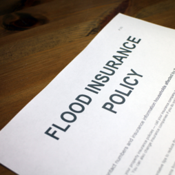 flood insurance policy