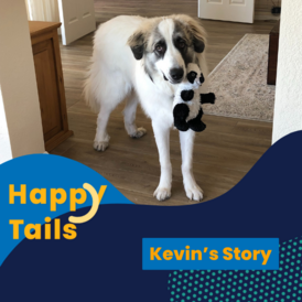 Happy Tails Kevin