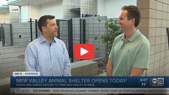 Supervisor Galvin ABC15 East Valley Shelter
