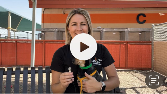 Kim Powell District 2