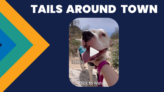 Tails Around Town Field Trip