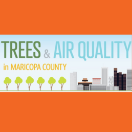 trees and air quality