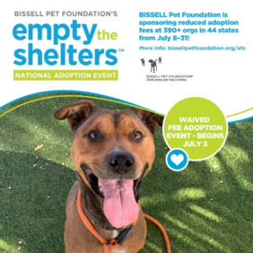 empty the shelters