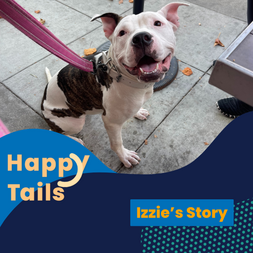 Izzie