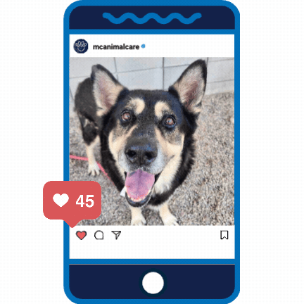 Puppy Love _Augustus