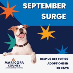September surge