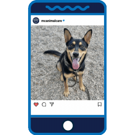 Puppy Love _Rosilita