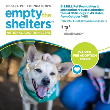 Adoption Fees Waived