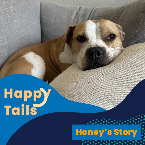 Happy Tails Honey