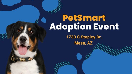 Petsmart Adoption Event