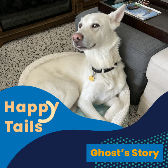 Happy Tails Ghost