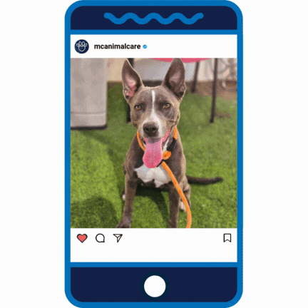 Puppy Love _Marie Lee