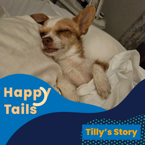 Happy Tails Tilly