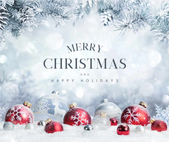 Merry Christmas & Happy Holidays 
