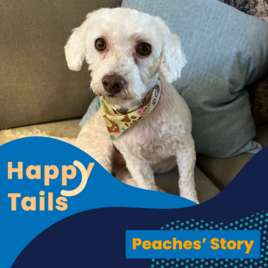 Happy Tails Peaches