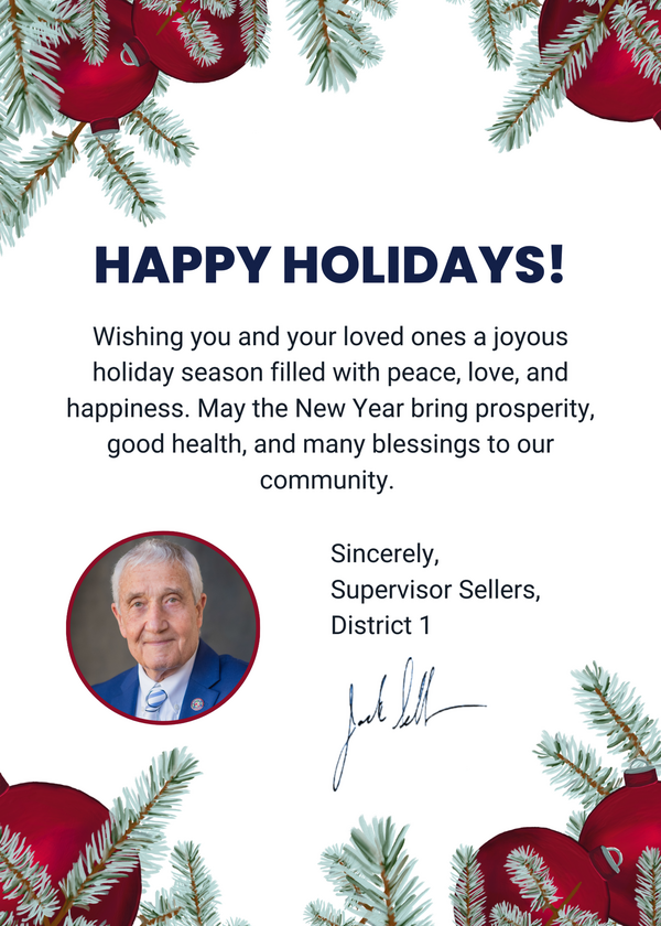 2024 Holiday Card - Sellers