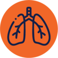 Lungs Icon