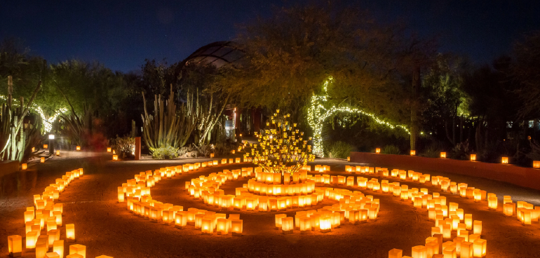 Desert Botanical Gardens Las Noches de las Luminarias