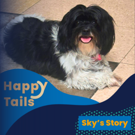 Happy Tails Sky
