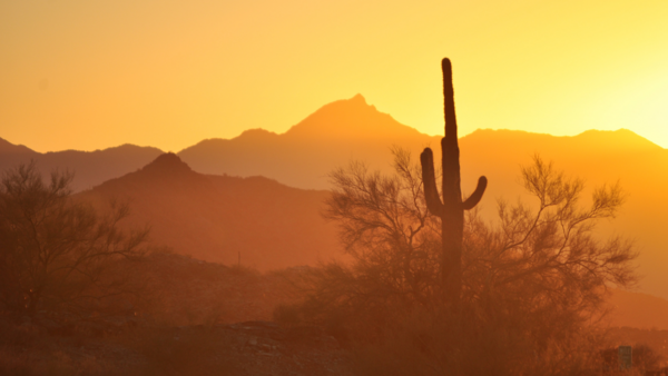 az desert