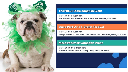 March Adoption Events