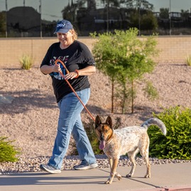 dog walker