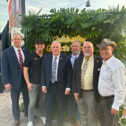 Gilbert state of the town