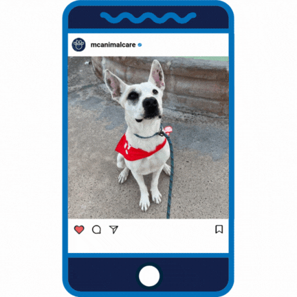 Puppy Love _Cloud (2)