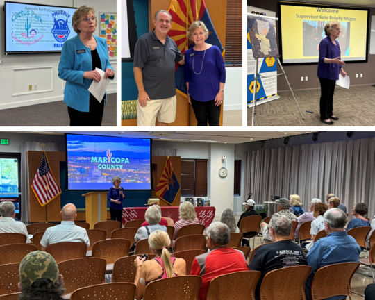 D3 Neighborhood Block Watch & Alliances