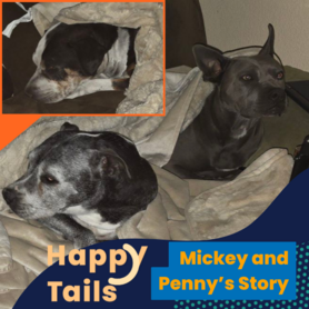 Happy Tails Mickey and Penny