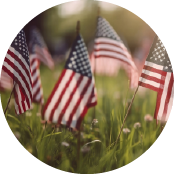 American flags in grass Memorial Day