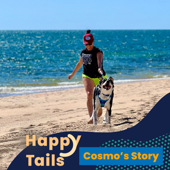 Happy Tails Cosmo