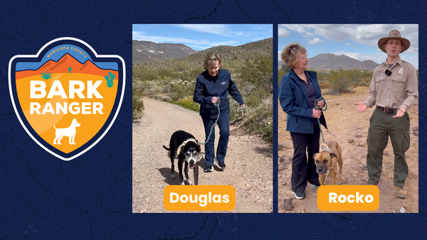 Maricopa County Bark Ranger Douglas and Rocko