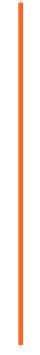 orange vertical line