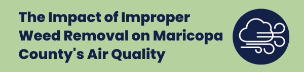 "The Impact of Improper Weed Removal on Maricopa County's Air Quality" text next to icon of cloud