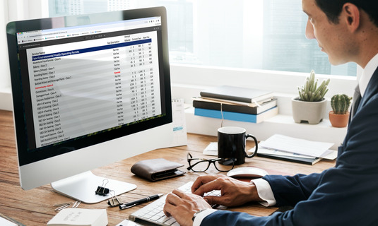 Image of a man reviewing a spreadsheet on a computer