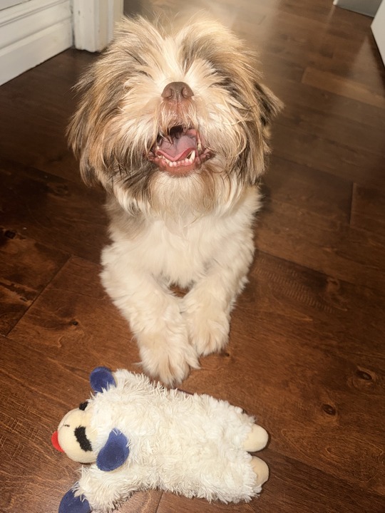 Welcome to the family, Willie Mays!