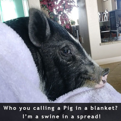 Photo Contest Winner