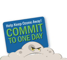 Ozone Campaign