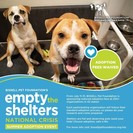 adoption sponsored dogs