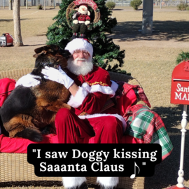 dog kissing santa