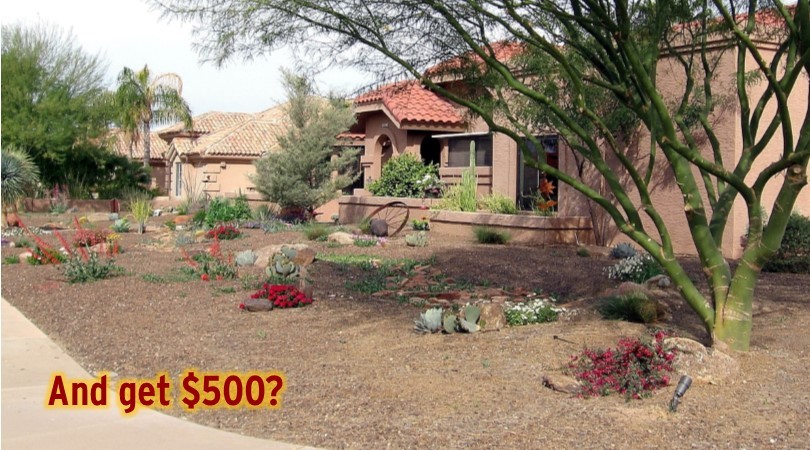 Grass to Xeriscape Rebate